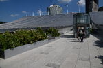 DSC_8665.JPG